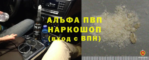 PSILOCYBIN Аркадак