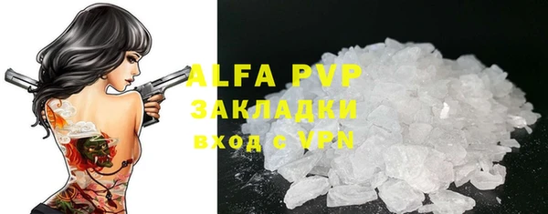 PSILOCYBIN Аркадак