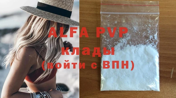 PSILOCYBIN Аркадак